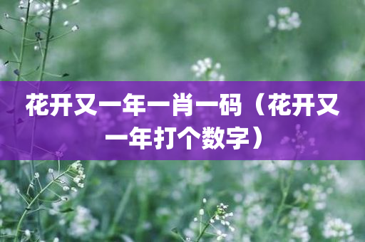 花开又一年一肖一码（花开又一年打个数字）