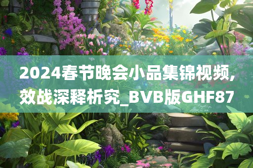 2024春节晚会小品集锦视频,效战深释析究_BVB版GHF87