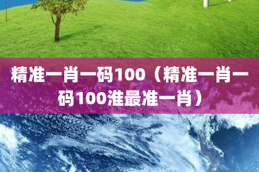 精准一肖一码100（精准一肖一码100淮最准一肖）