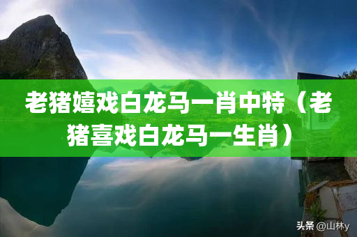 老猪嬉戏白龙马一肖中特（老猪喜戏白龙马一生肖）