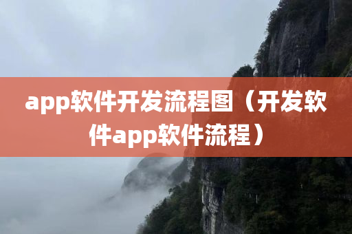 app软件开发流程图（开发软件app软件流程）