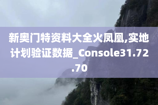 新奥门特资料大全火凤凰,实地计划验证数据_Console31.72.70