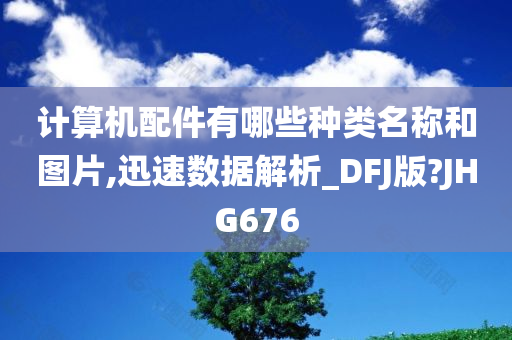 计算机配件有哪些种类名称和图片,迅速数据解析_DFJ版?JHG676