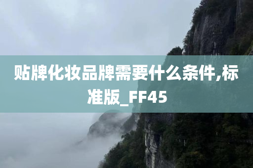 贴牌化妆品牌需要什么条件,标准版_FF45