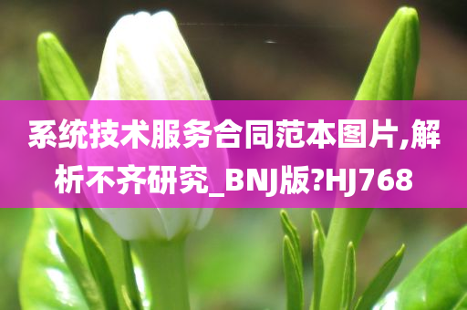 系统技术服务合同范本图片,解析不齐研究_BNJ版?HJ768