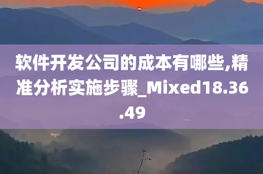 软件开发公司的成本有哪些,精准分析实施步骤_Mixed18.36.49