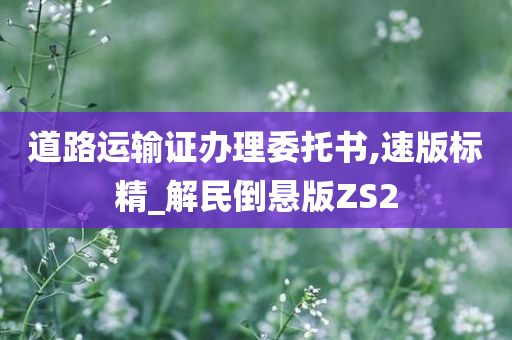 道路运输证办理委托书,速版标精_解民倒悬版ZS2