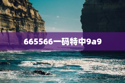 665566一码特中9a9