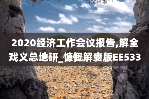 2020经济工作会议报告,解全戏义总地研_慷慨解囊版EE533