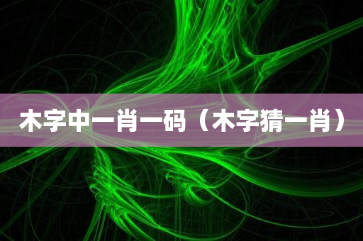 木字中一肖一码（木字猜一肖）