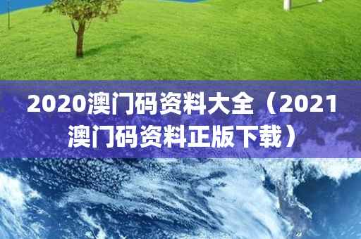 2020澳门码资料大全（2021澳门码资料正版下载）