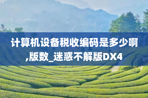 计算机设备税收编码是多少啊,版数_迷惑不解版DX4