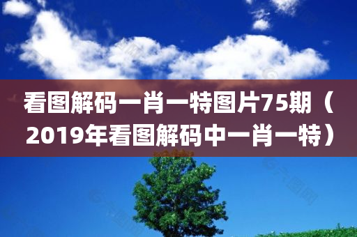 看图解码一肖一特图片75期（2019年看图解码中一肖一特）