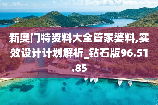 新奥门特资料大全管家婆料,实效设计计划解析_钻石版96.51.85