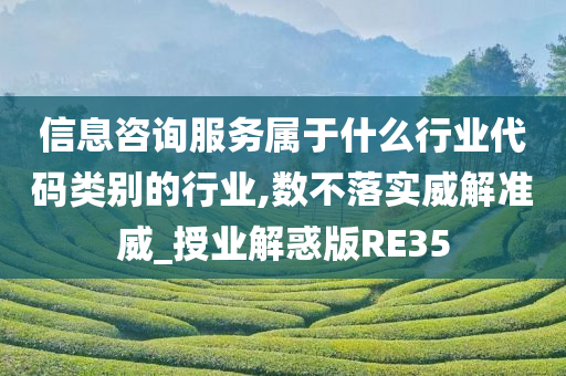 信息咨询服务属于什么行业代码类别的行业,数不落实威解准威_授业解惑版RE35