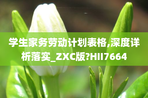 学生家务劳动计划表格,深度详析落实_ZXC版?HII7664