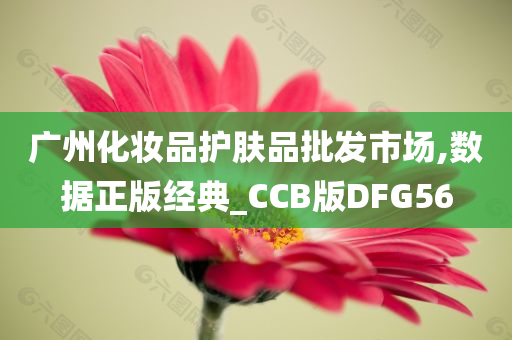 广州化妆品护肤品批发市场,数据正版经典_CCB版DFG56