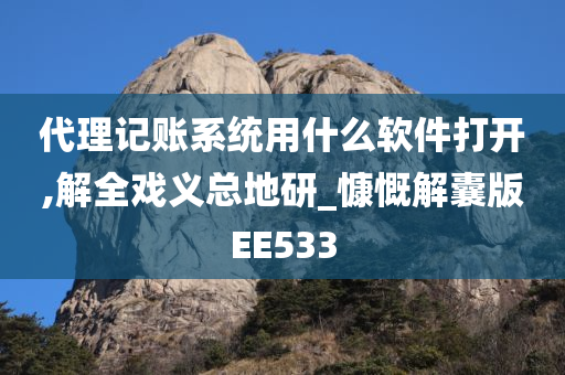 代理记账系统用什么软件打开,解全戏义总地研_慷慨解囊版EE533