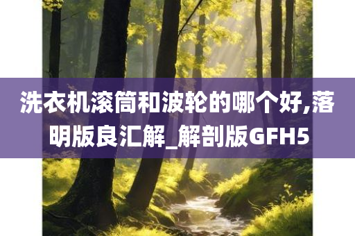 洗衣机滚筒和波轮的哪个好,落明版良汇解_解剖版GFH5