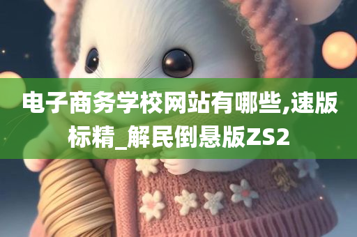 电子商务学校网站有哪些,速版标精_解民倒悬版ZS2