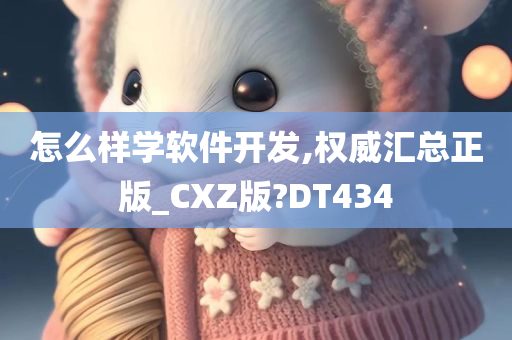 怎么样学软件开发,权威汇总正版_CXZ版?DT434