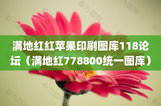 满地红红苹果印刷图库118论坛（满地红778800统一图库）