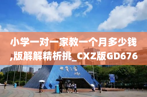 小学一对一家教一个月多少钱,版解解精析挑_CXZ版GD676