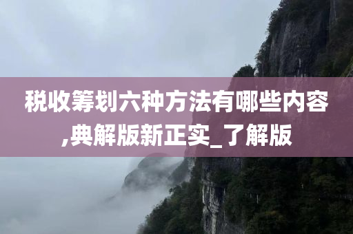 税收筹划六种方法有哪些内容,典解版新正实_了解版