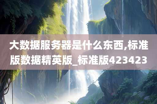 大数据服务器是什么东西,标准版数据精英版_标准版423423