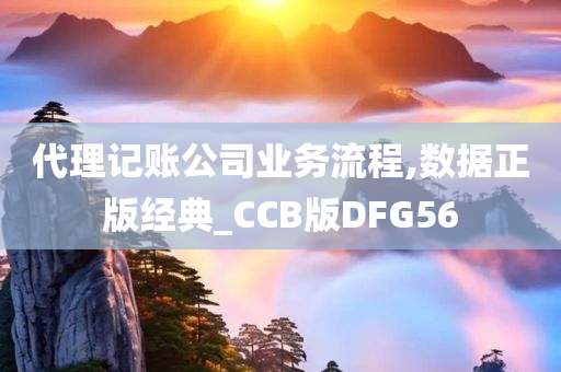 代理记账公司业务流程,数据正版经典_CCB版DFG56