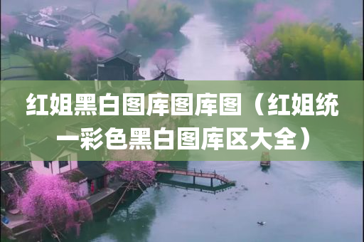 红姐黑白图库图库图（红姐统一彩色黑白图库区大全）