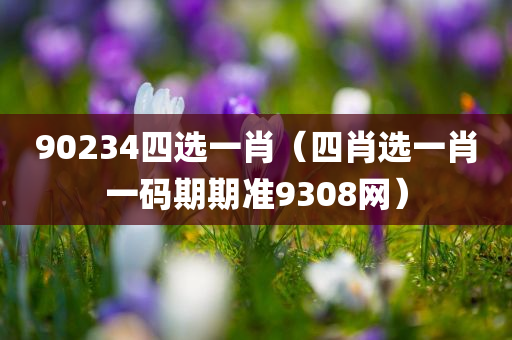 90234四选一肖（四肖选一肖一码期期准9308网）