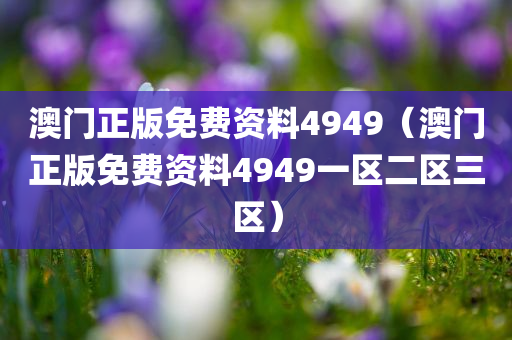 澳门正版免费资料4949（澳门正版免费资料4949一区二区三区）