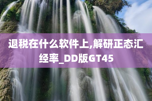 退税在什么软件上,解研正态汇经率_DD版GT45