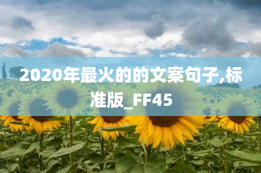 2020年最火的的文案句子,标准版_FF45