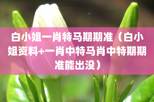 白小姐一肖特马期期准（白小姐资料+一肖中特马肖中特期期准能出没）