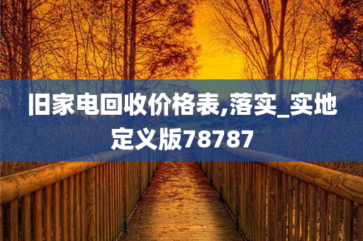 旧家电回收价格表,落实_实地定义版78787