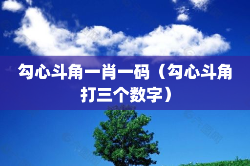 勾心斗角一肖一码（勾心斗角打三个数字）