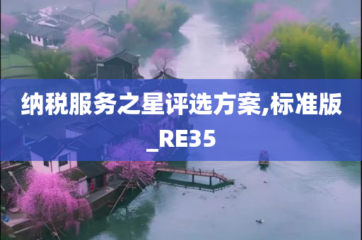 纳税服务之星评选方案,标准版_RE35