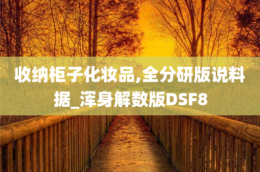 收纳柜子化妆品,全分研版说料据_浑身解数版DSF8