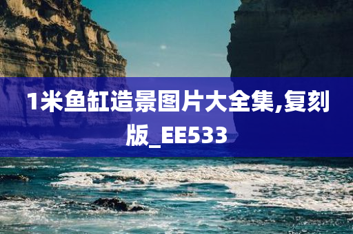 1米鱼缸造景图片大全集,复刻版_EE533