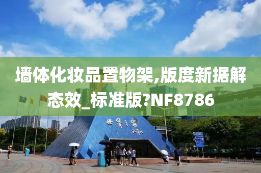 墙体化妆品置物架,版度新据解态效_标准版?NF8786