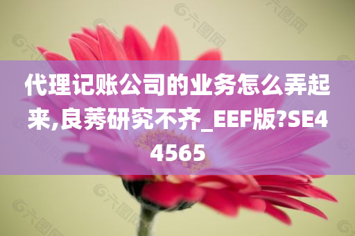 代理记账公司的业务怎么弄起来,良莠研究不齐_EEF版?SE44565