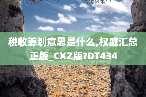 税收筹划意思是什么,权威汇总正版_CXZ版?DT434