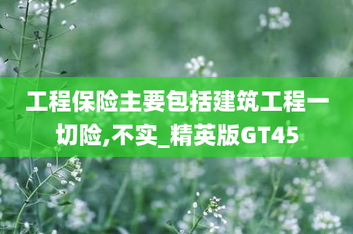 工程保险主要包括建筑工程一切险,不实_精英版GT45