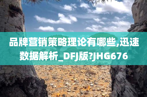 品牌营销策略理论有哪些,迅速数据解析_DFJ版?JHG676