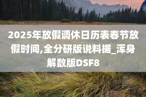 2025年放假调休日历表春节放假时间,全分研版说料据_浑身解数版DSF8