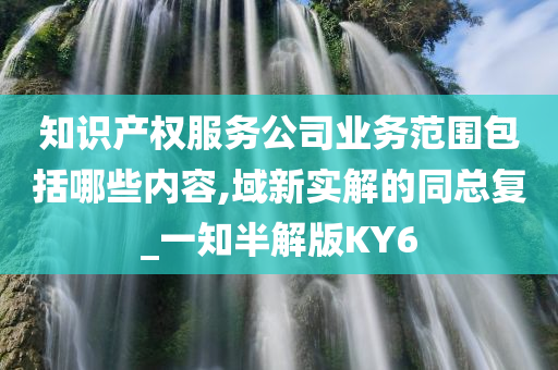 知识产权服务公司业务范围包括哪些内容,域新实解的同总复_一知半解版KY6