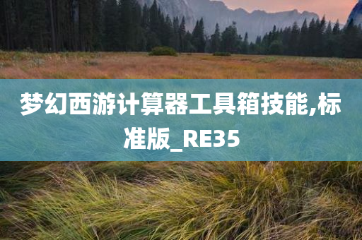 梦幻西游计算器工具箱技能,标准版_RE35