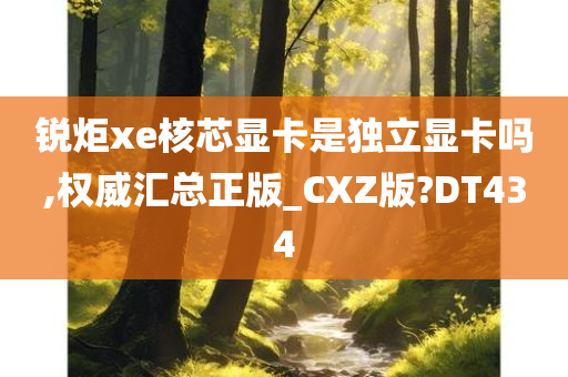 锐炬xe核芯显卡是独立显卡吗,权威汇总正版_CXZ版?DT434